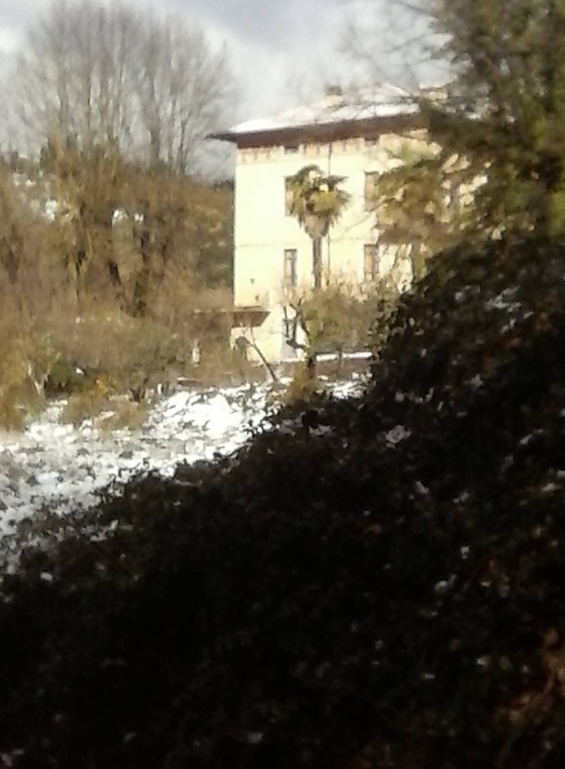 Palmen im Schnee bei den Terme di Fontecchio