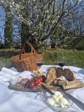 Picknick im Frühling