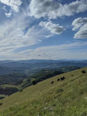 Monte Acuto Amira 06-2020-4.jpg