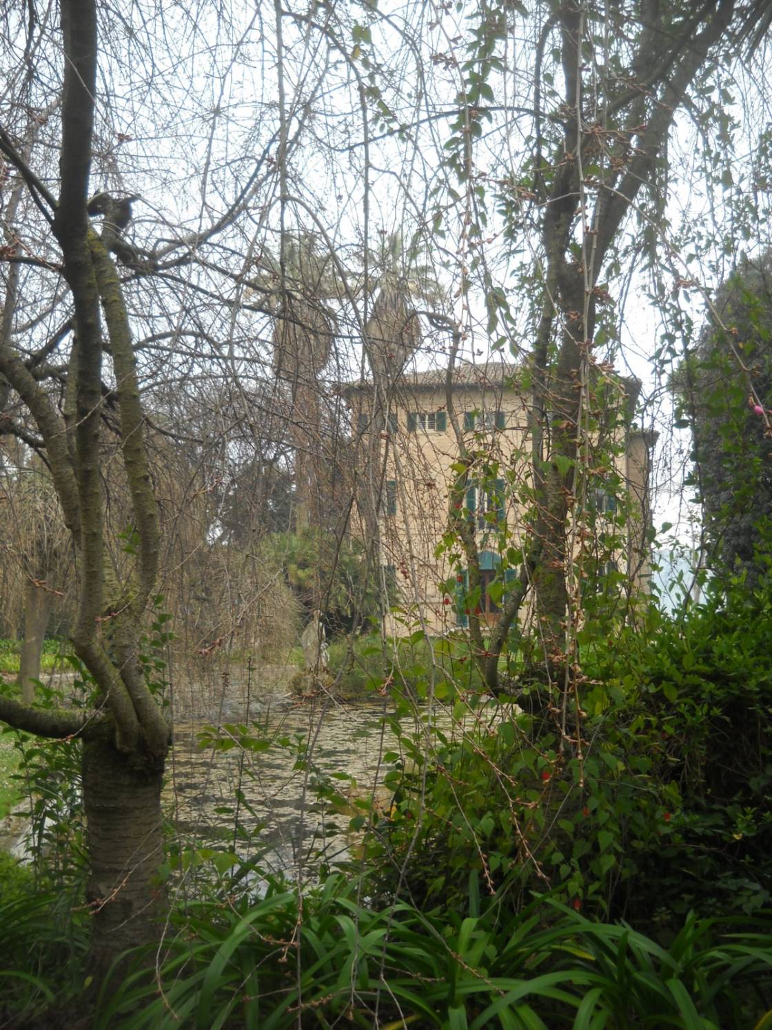 Park der Villa Seghetti Panichi
