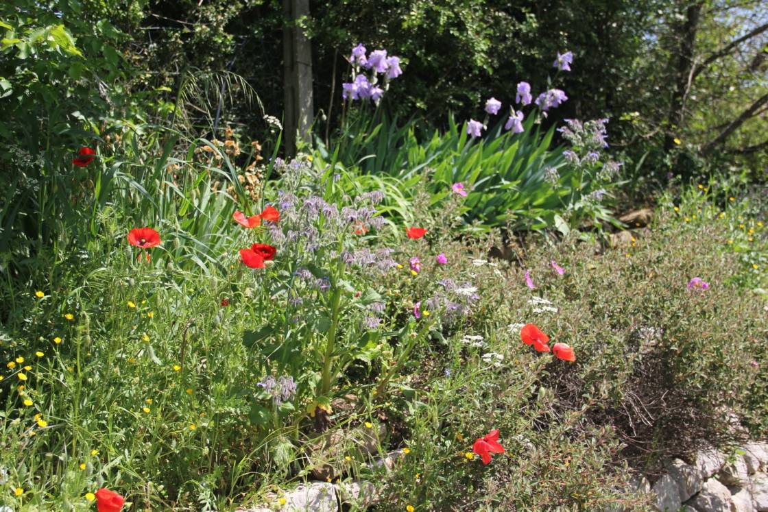 Im Garten von La Rogaia