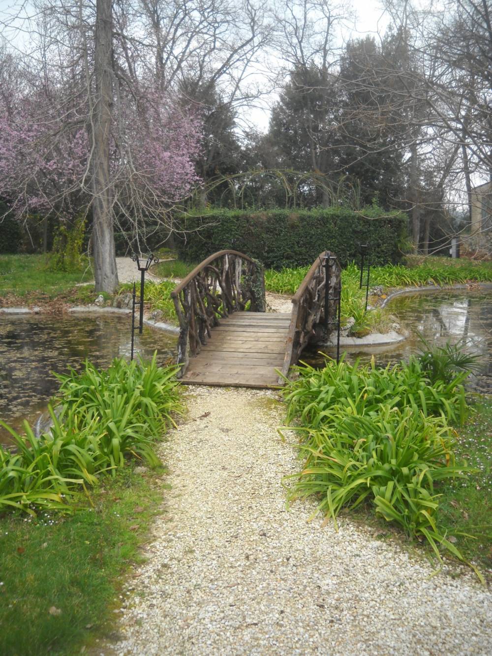 Brücke aus Olivenästen im Park der Villa Seghetti Panichi