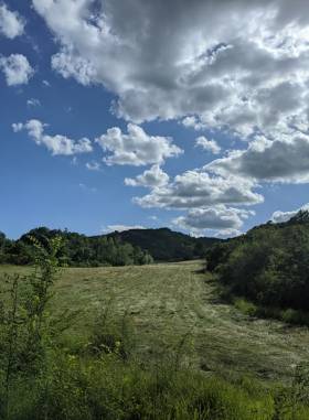 Monte Acuto Amira 06-2020-3.jpg