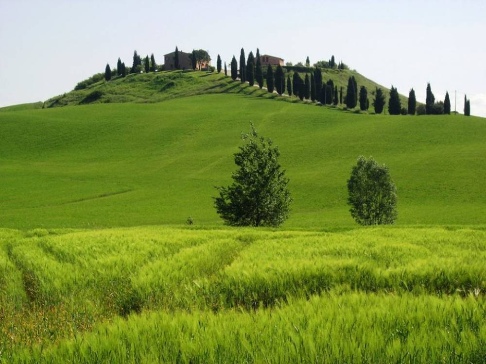 Landschaft um den Monte Amiata. Photo: Helen Malbon