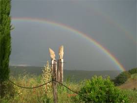 Regenbogen über Rogaia